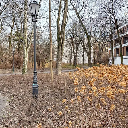 Park Zen, Taras I Widok Na Park לודז'