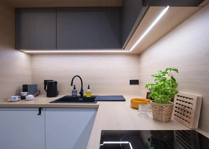 Park Zen, Taras I Widok Na Park