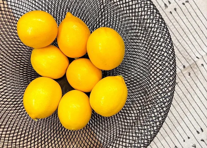 Park Zen, Taras I Widok Na Park